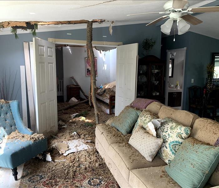 tree coming through living room ceiling after derecho storm