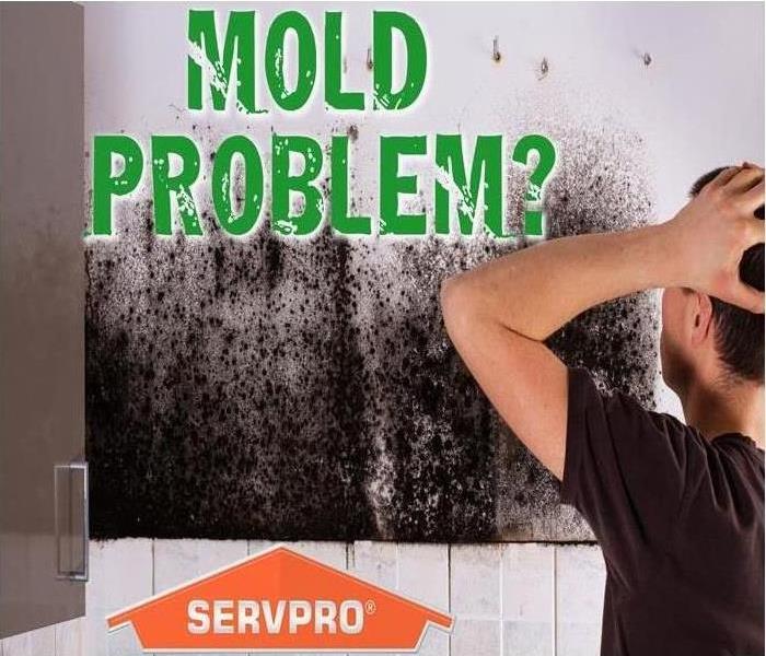 Servpro of Marshalltown can handle your mold emergencies